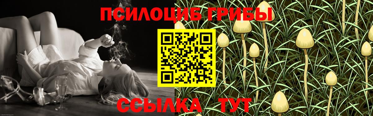 Галлюциногенные грибы Cubensis  Вход с VPN  дарнет шоп  Кстово 