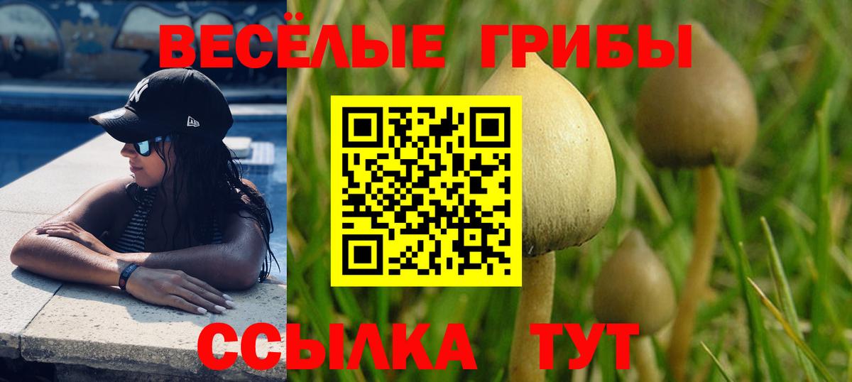 Псилоцибиновые грибы мухоморы Кстово